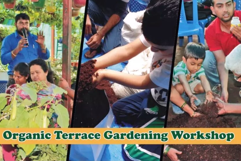 Garden Training / Workshop
